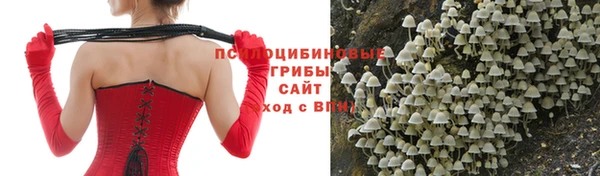 мдпв Бородино