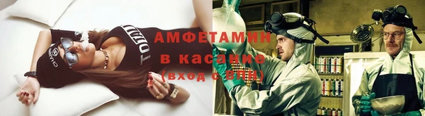 мдпв Бородино