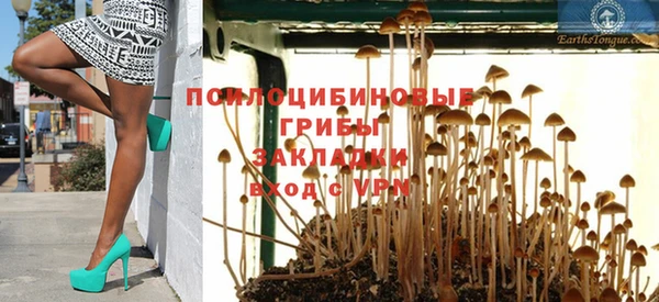 стаф Бронницы