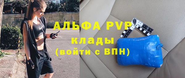мдпв Бородино