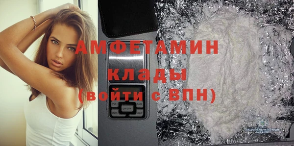 мдпв Бородино