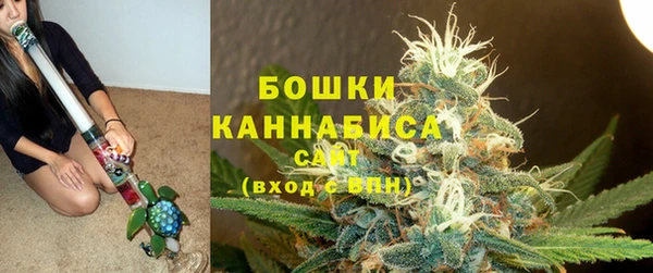 стаф Бронницы