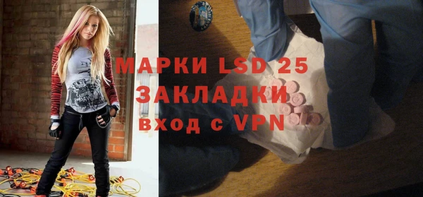 мдпв Бородино