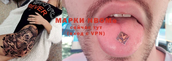 мдпв Бородино