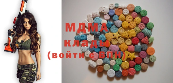 мдпв Бородино