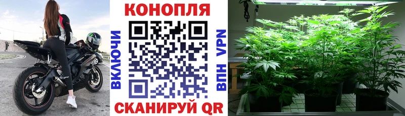 Каннабис Bruce Banner  где продают наркотики  Балашиха 